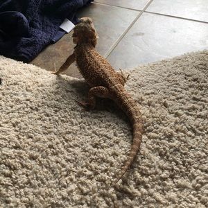 Meet your Posher, Cody